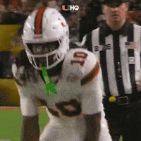Miami Hurricanes GIF