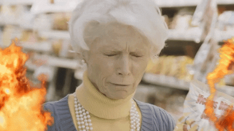 Old Lady Chips GIF by P!NK