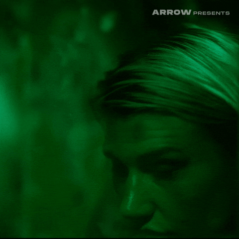 Grace Glowicki Cat GIF by Arrow Video