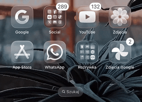 nmyron giphyupload GIF