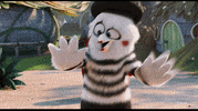 awkward glass GIF by Angry Birds