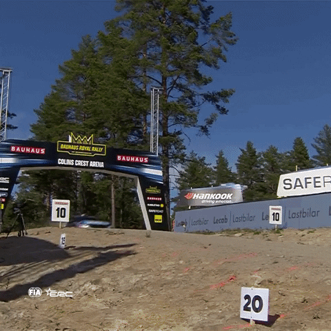 Jump Wtf GIF by FIA European Rally Championship