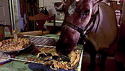 countdown to christmas prancer GIF by MGM Christmas