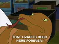 hey arnold nicksplat GIF