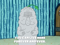 season 4 GIF by SpongeBob SquarePants