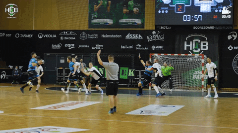 Czech Republic Handball GIF by HCB Karviná