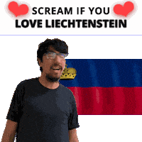 Liechtenstein Flag Li Sticker