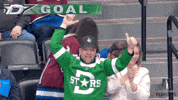 Happy Lets Go GIF by NHL