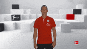 Posing Line Up GIF by Bundesliga