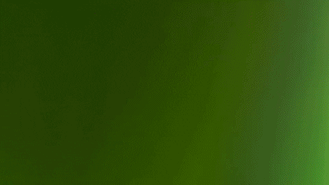 Simongip giphygifmaker GIF