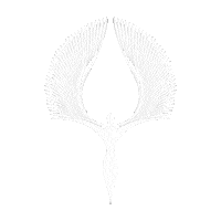 Iran Tabriz Sticker by BigBlackBox