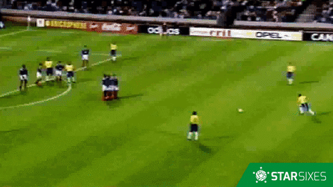 celebrate roberto carlos GIF by Star Sixes