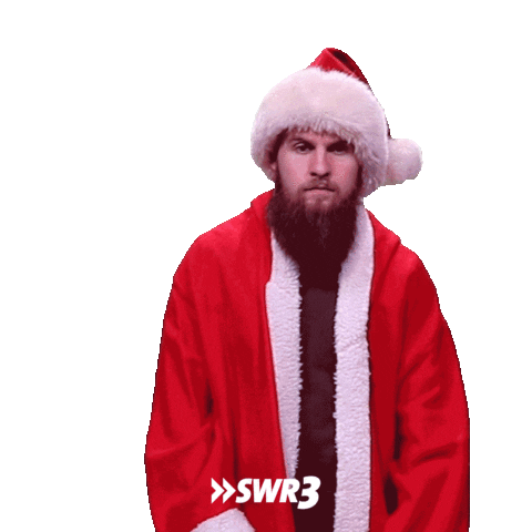 Stop It Merry Christmas Sticker by SWR3