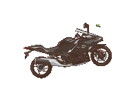 Motorcycle Ninja Sticker