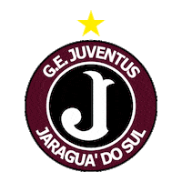 gejuventusjaraguadosul juventus juve jaraguadosul molequetravesso Sticker