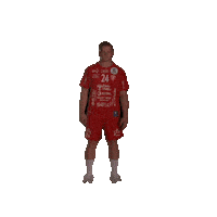 Rema1000Ligaen Follo Sticker by Norsk Topphåndball