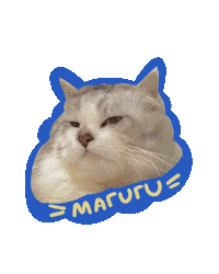 Cat Meow Sticker