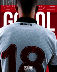 King Of The North GIF by SAMSUNSPOR