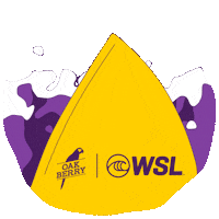 oakberryacai acai oak wsl prancha Sticker