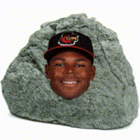 Washington Nationals Stone GIF