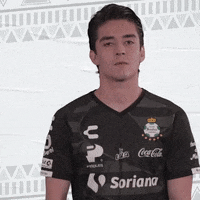 clubsantos  GIF