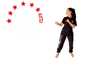 Coach Taekwondo Sticker by Andrea