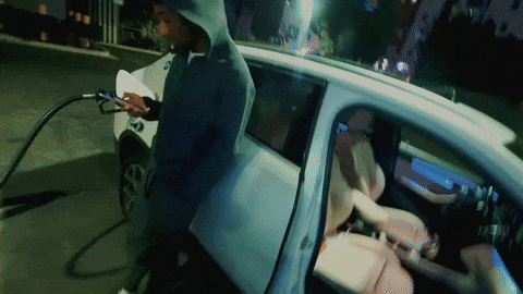 Bruce Ball Hogs GIF by Protect