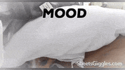 SheetsGiggles cute dog mood time GIF