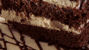 cucinatagliani cake chocolate dessert italian GIF