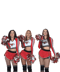 dance girls Sticker by Avangard