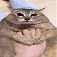 One Eye Help GIF