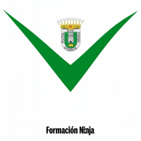 Flag Spain GIF by Formación Ninja