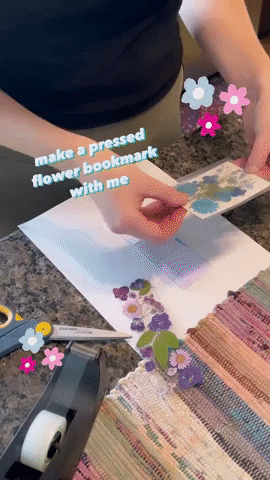 DaisyDunes giphyupload GIF