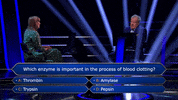 Wwtbams8E2 GIF by Stellify Media