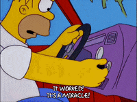 homer simpson GIF