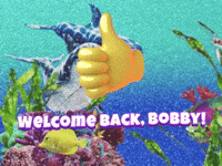 Welcome back Bobby