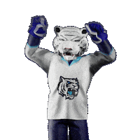 Hockey Hokej Sticker by Tipsport extraliga