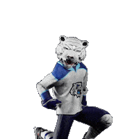 Hockey Hokej Sticker by Tipsport extraliga