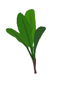 leiokala hawaii hawaiian lei olelo Sticker