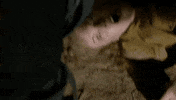 Shemar Moore Swat GIF by CBS