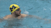 GIF by Michigan Athletics