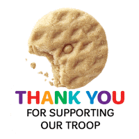 Cookies Thinmints Sticker by Little Brownie Bakers