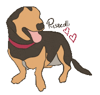 Zojka Sticker