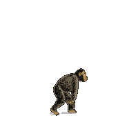 kmoteam suit finance belgium evolution Sticker