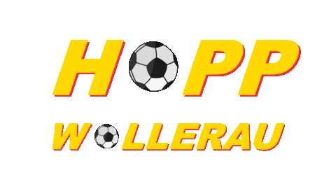 fcwollerau giphyupload flag gameday matchday Sticker