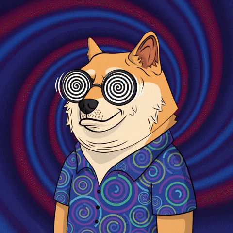 Shiba Inu Smiling GIF by Doge Pound