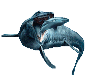 New Zealand Ocean Sticker by Otago Museum