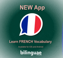 Bilinguae french learnfrench bilinguae GIF