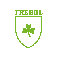 liceo_deleon liceo trebol liceo de leon liceodeleon Sticker