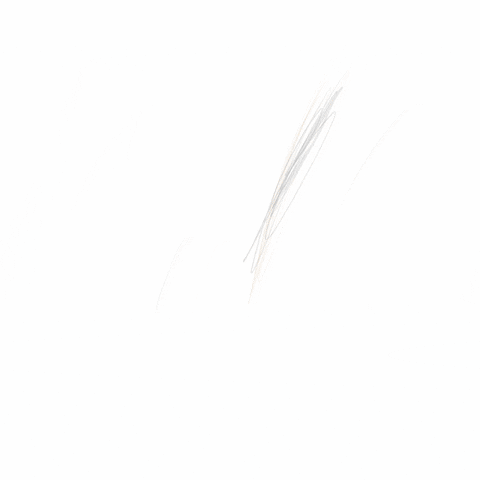 FemBR giphyupload art digital art paint GIF